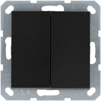 Кнопка 2-кл. 10А IP20 с переключающим контактом механизм антрацит Jasmart G3020B