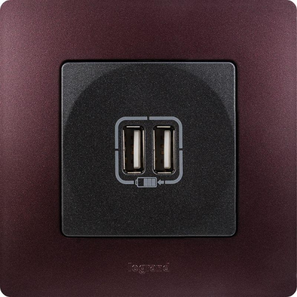 Розетка USB 2-м СП 2мод. Etika 240В/5В 2400мА механизм антрацит Leg 672694