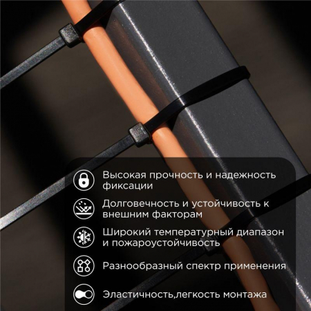 Стяжка кабельная нейлоновая 1020х9.0мм черная (уп.25шт) Rexant 07-1021-25
